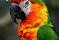 Contoh Prompt Gambar AI Burung Beo dengan Warna Cerah