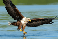 Contoh Prompt Gambar AI Burung Rajawali Menyambar Ikan