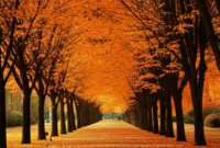 Contoh Prompt Gambar AI Kota di Musim Gugur dengan Daun Jatuh